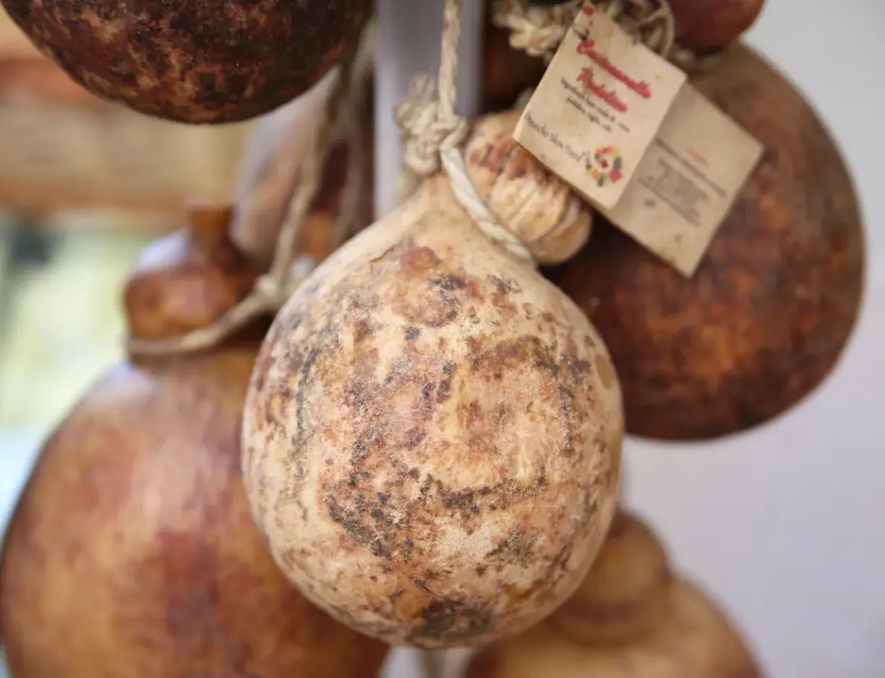 Forme tonde e rustiche di caciocavallo podolico del Gargano, appese con spago, con etichette che ne raccontano la storia.