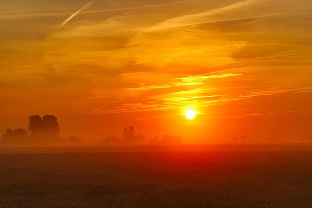Een gloedvolle zonsopgang boven een mistig veld. De zon, een heldere bol, kondigt het wakker worden van de dag aan, met oranje en gele tinten die de hemel vullen.