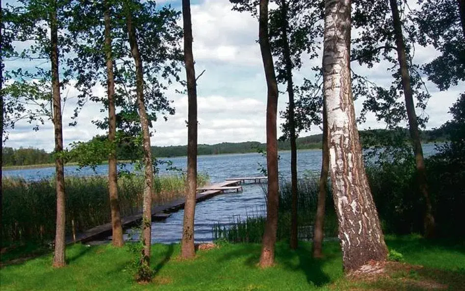 Działki nad jeziorem lubelskie - idealne miejsca na wypoczynek i inwestycje