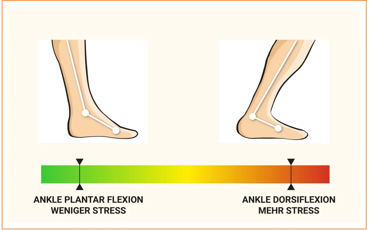 Bei Achillessehne Schmerzen wann zum Arzt? Die Grafik zeigt Fußstellungen: Plantarflexion (weniger Stress) und Dorsiflexion (mehr Stress).