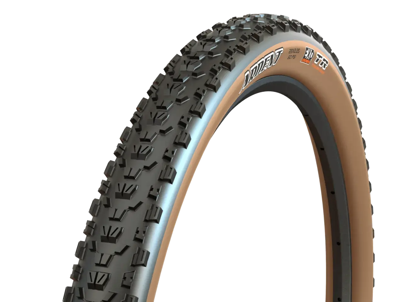 A close-up of a Maxxis Ardent tire with tan sidewalls, ready for a trail review. Its aggressive tread promises grip.