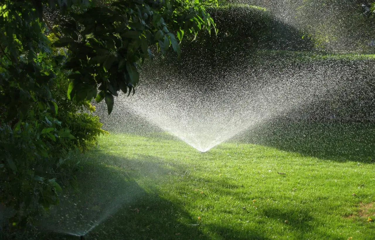 Aspersor en acción, creando una fina lluvia para el riego del césped verde y frondoso.
