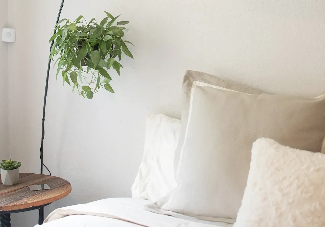 A cozy bedroom scene with a hanging plant, a bedside table, and plush pillows, including two shams, suggesting comfort and relaxation.