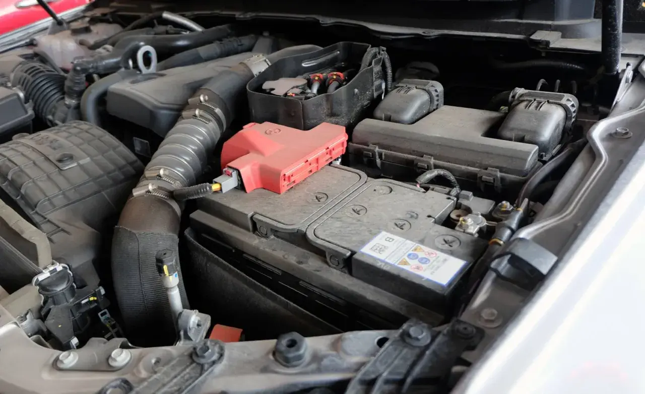 Compartimento del motor con batería visible. Para saber qué batería lleva tu coche, revisa la etiqueta de la batería actual o consulta el manual del vehículo.