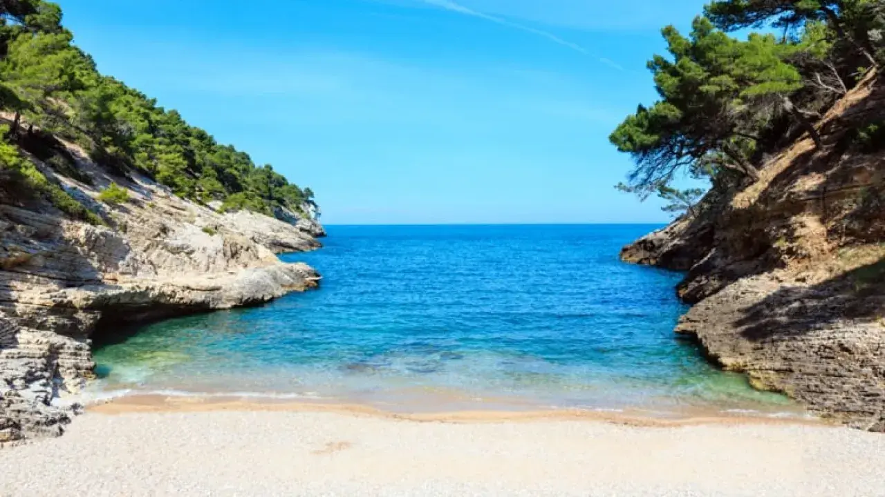 Una cala rosa spiaggia incastonata tra rocce e pini marittimi, con acque cristalline e un cielo azzurro intenso.