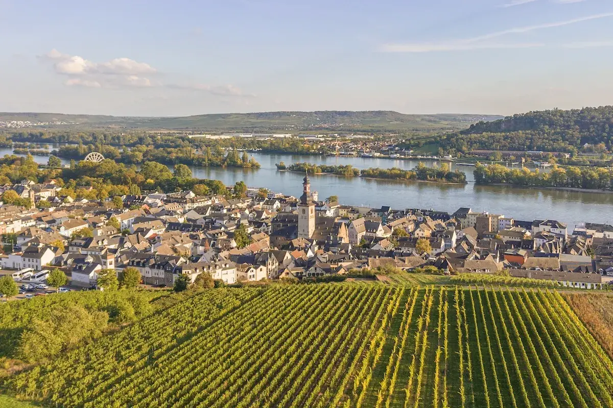 Blick über eine malerische weinregion in der eifel mit Weinbergen, einem Fluss und einer Stadt mit Kirchturm.