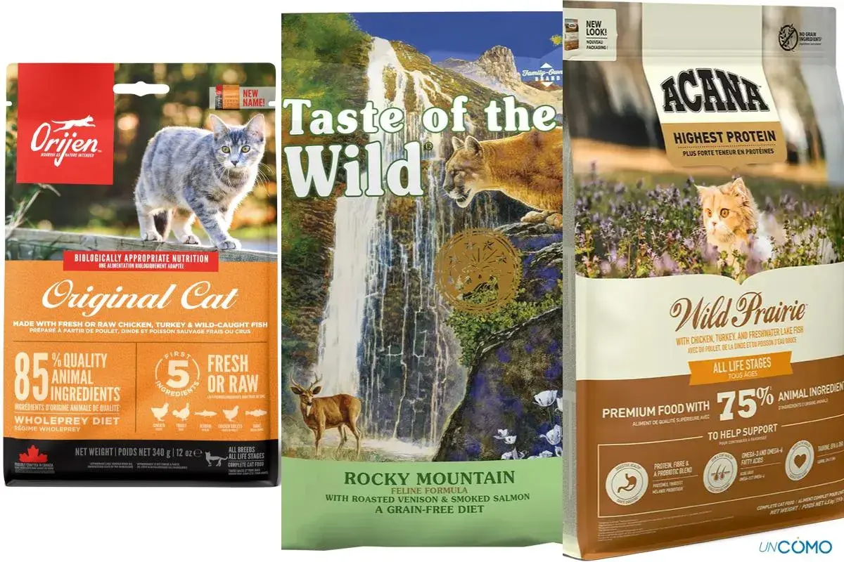 Los mejores piensos para gatos: Orijen, Taste of the Wild y Acana, con ingredientes de alta calidad para una nutrición óptima.
