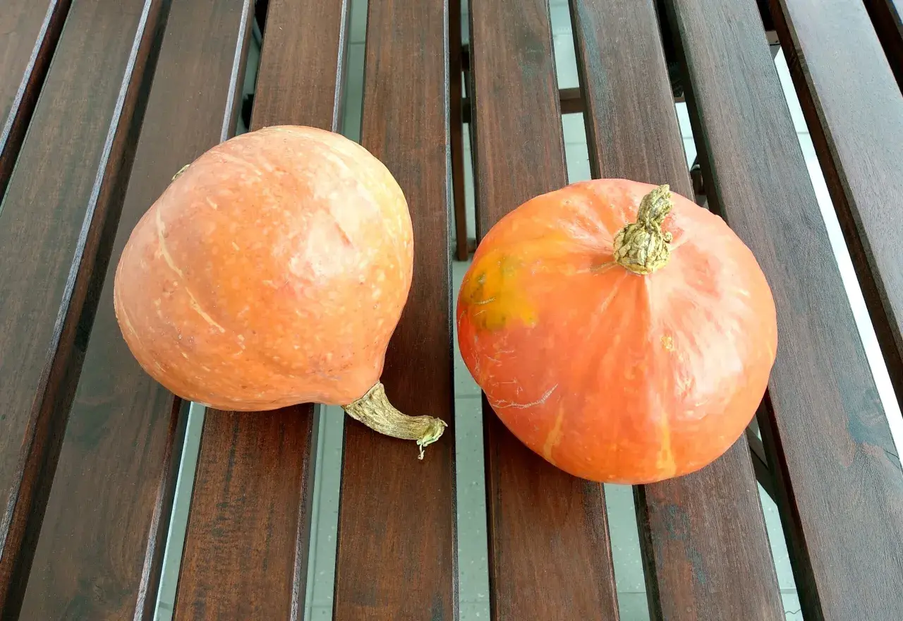 Dwie pomarańczowe dynie na drewnianym stole, idealne na puree z dyni dla niemowlaka.
