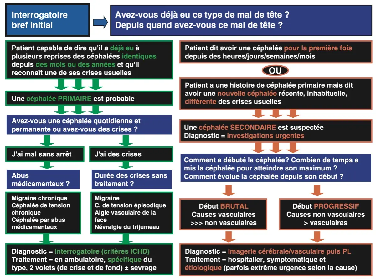 Algorithme de diagnostic des maux de tête, distinguant céphalées primaires et secondaires pour une prise en charge adaptée.