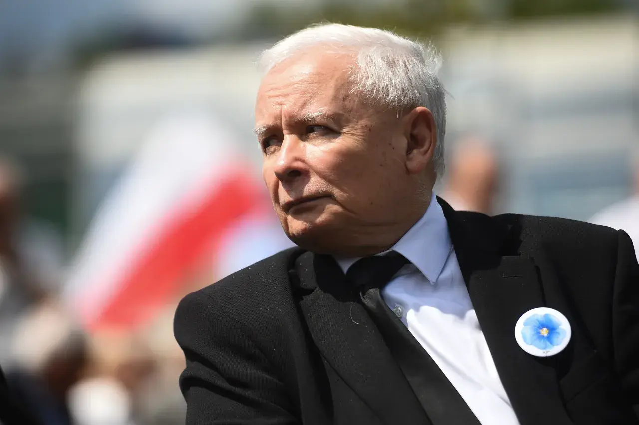 Jarosław Kaczyński w garniturze z przypinką z kwiatkiem. Analiza głosowań pokazuje, kto z posłów Konfederacji najczęściej głosuje ramię w ramię z Prawem i Sprawiedliwością.