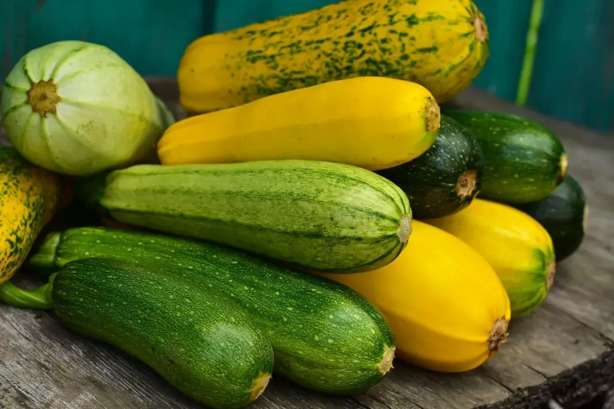Un tas de courgettes vertes et jaunes, dont une courgette blanche pâle, reposent sur des planches de bois.