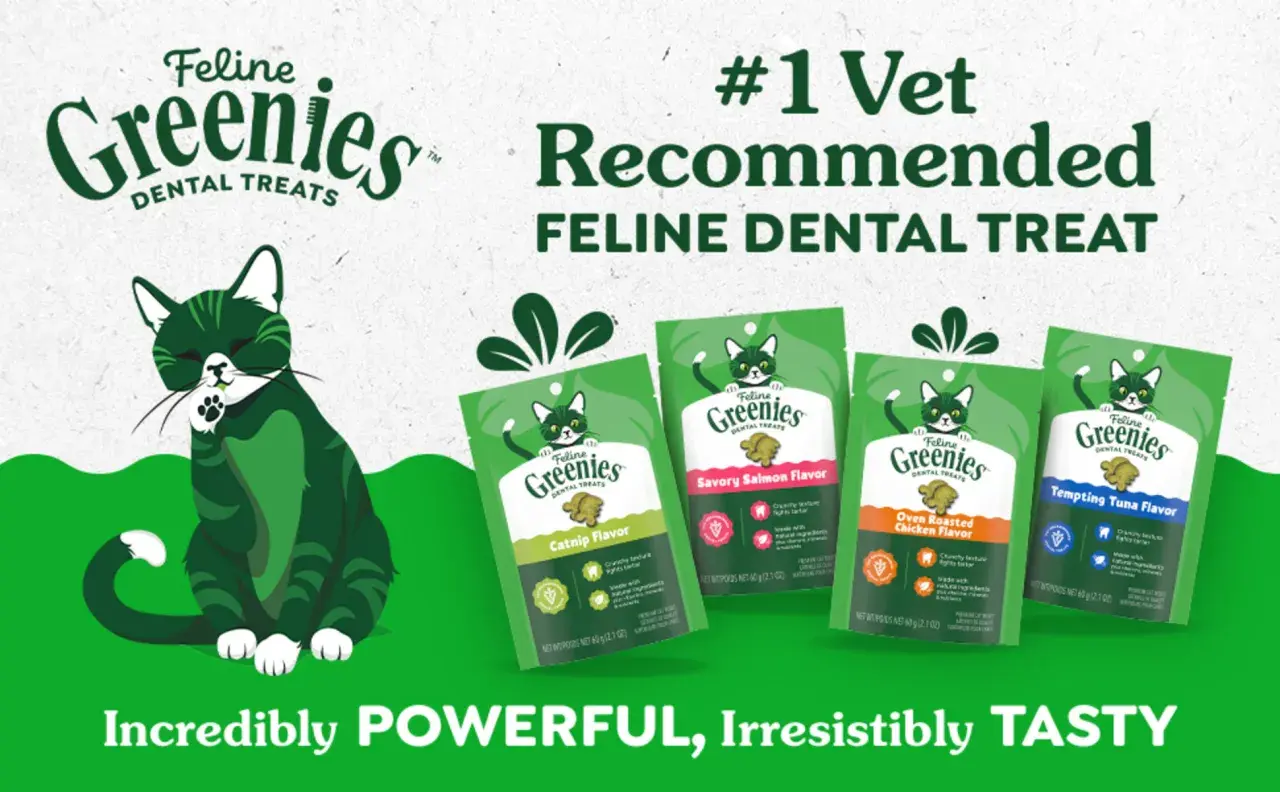 Greenies are good for cats! A green cat sits near bags of Feline Greenies dental treats in various flavors, advertised as #1 vet recommended.