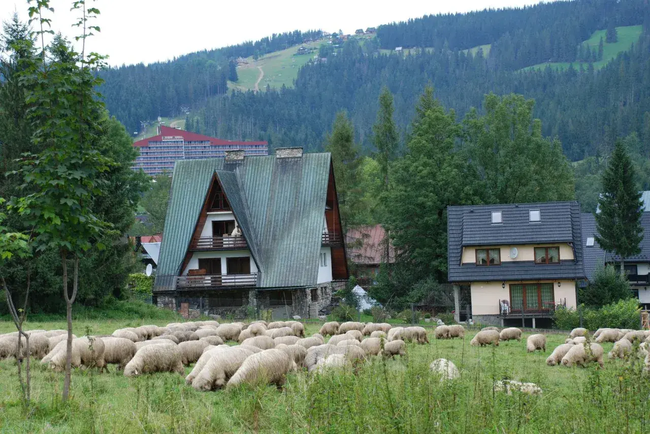Zakopane: Domek na wierchu z widokiem na Tatry? Oto jak wybrać!