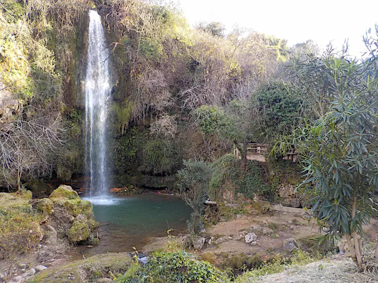 Los chorradores de Navarres, una cascada cae en una poza de agua verde rodeada de vegetación y rocas.