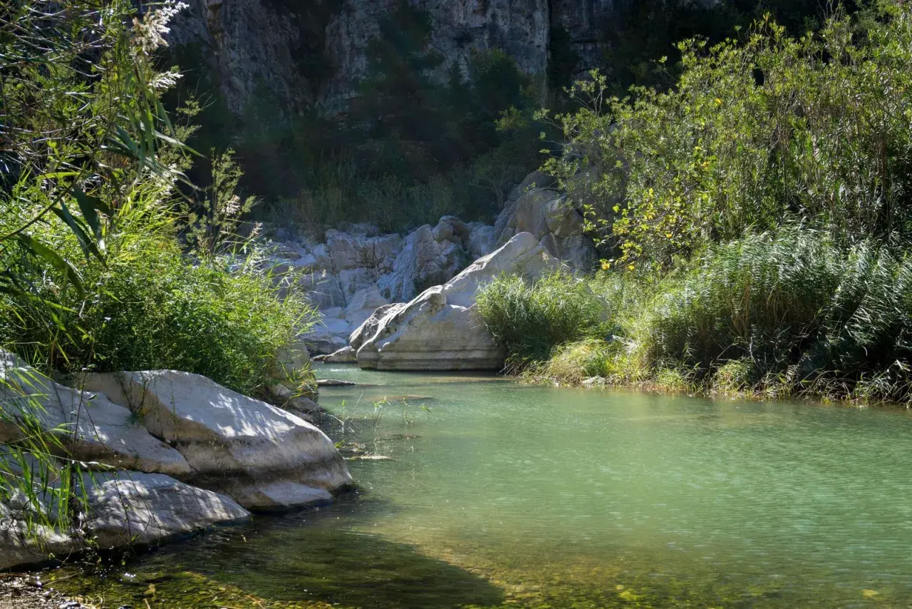 Aguas turquesas fluyen en la vía verde del Serpis, rodeadas de rocas y vegetación exuberante.