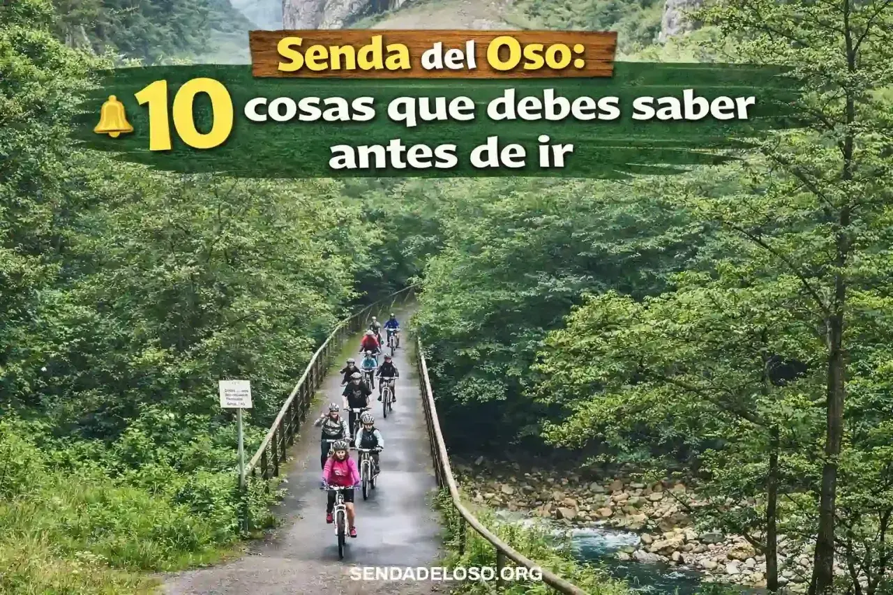 Grupo de ciclistas pedaleando en la Senda del Oso, un hermoso camino rodeado de exuberante vegetación y un río.