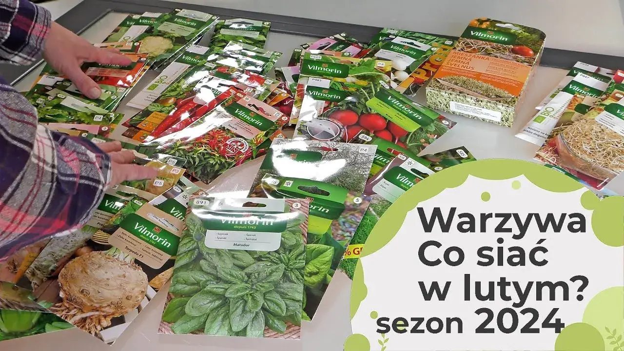 Co można uprawiać w różnych warunkach? Odkryj najlepsze rośliny