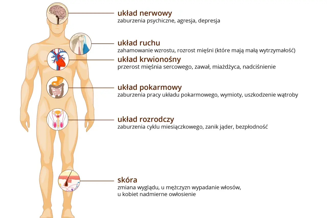 Aktywność fizyczna a zdrowie psychiczne: ilustracja pokazuje wpływ różnych układów ciała na samopoczucie, od nerwowego po skórę.