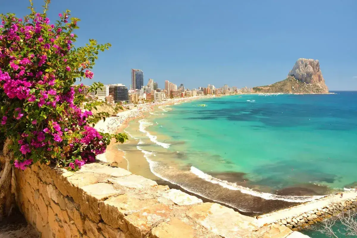 Vista panorámica de la playa del arenal-bol, con aguas turquesas, arena dorada, edificios altos y el Peñón de Ifach al fondo. Flores rosas en primer plano.