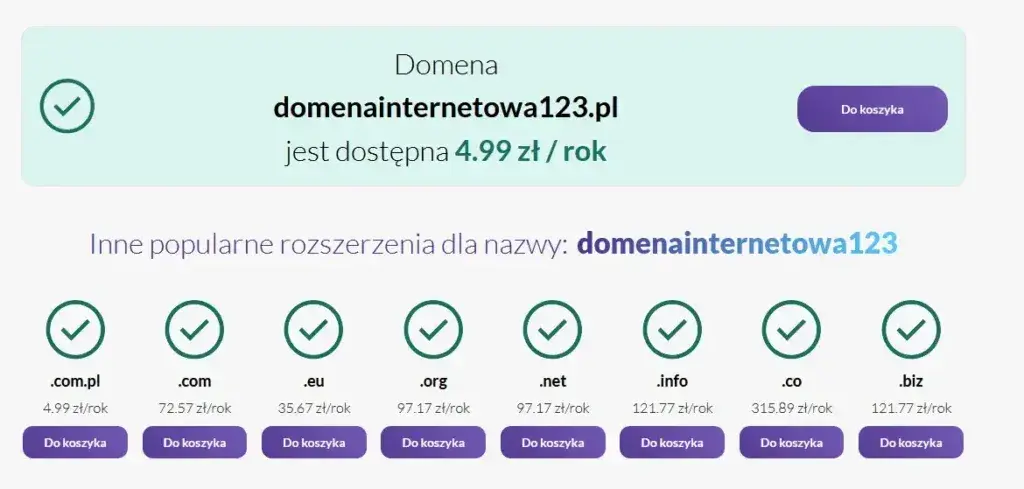 Koszty utrzymania strony: Oszacuj roczne wydatki i nie przepłacaj!