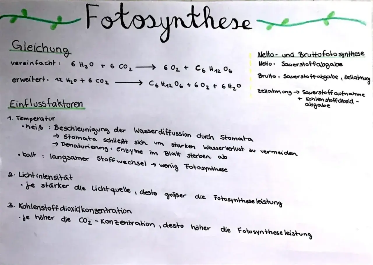 Die reaktionsgleichung fotosynthese wird erklärt, mit Einflussfaktoren wie Temperatur, Lichtintensität und CO₂-Konzentration.