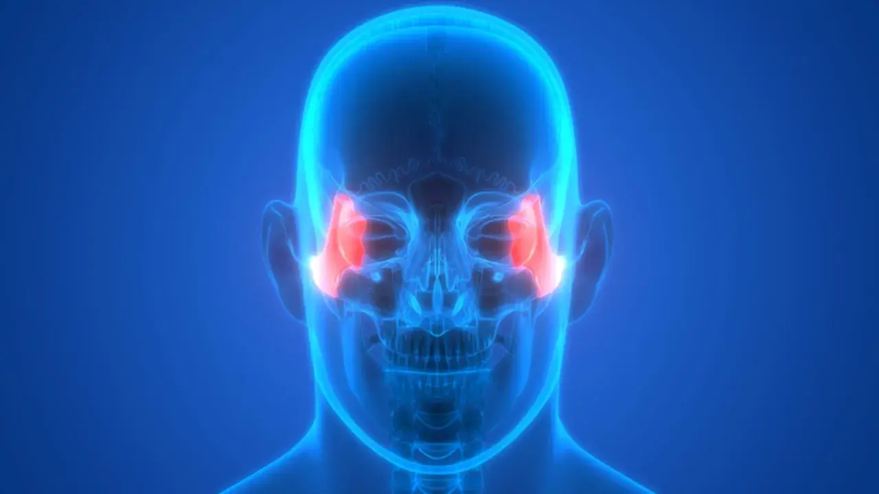 Anatomia czaszki z podświetlonymi kośćmi jarzmowymi. Ilustracja może być pomocna przy omawianiu zlamanie kosci jarzmowej leczenie.