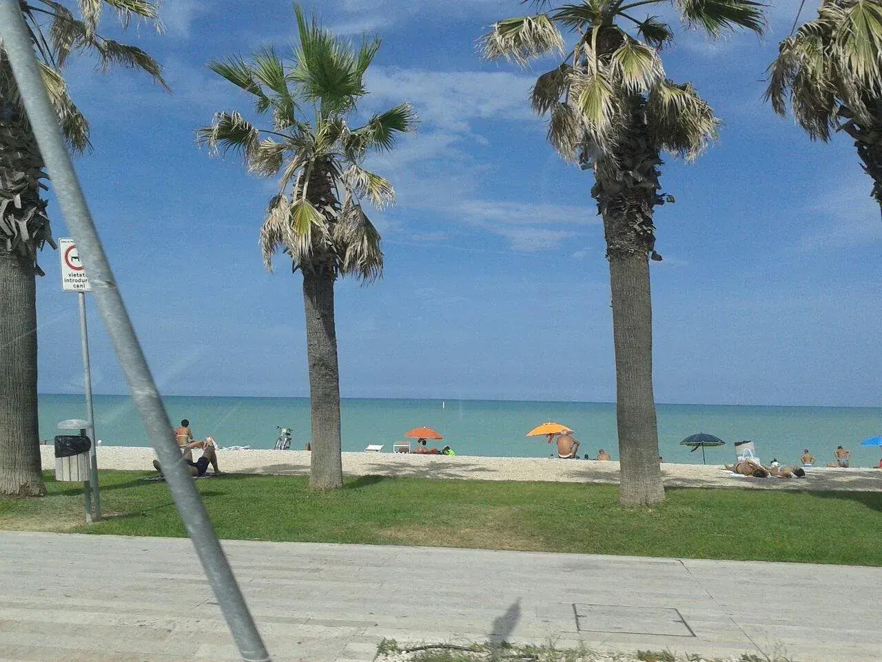 Palme e mare azzurro a Porto Sant'Elpidio. Cosa vedere? La spiaggia, il sole e il relax.