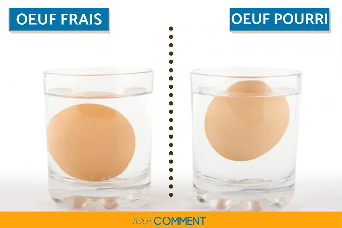 Un œuf frais coule au fond d'un verre d'eau, tandis qu'un œuf pourri flotte. Voici comment savoir si un œuf est bon.