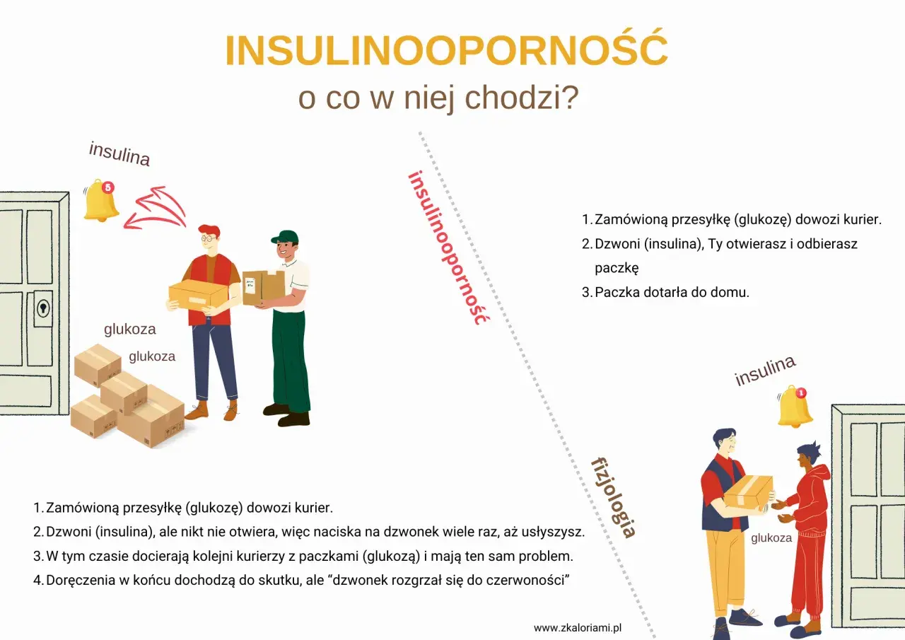 Ilustracja wyjaśnia insulinooporność: kurierzy z glukozą nie mogą się dodzwonić do komórek (domu), bo insulina (dzwonek) nie działa.