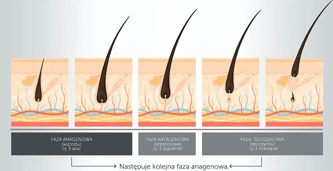 Optymalna długość włosków do depilacji woskiem: 5-10 mm?