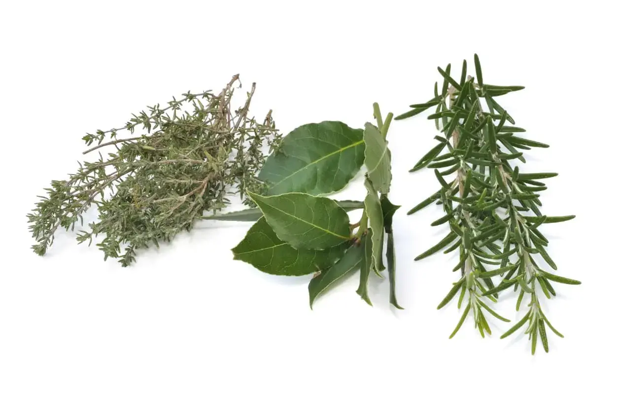 Tomillo, laurel y romero, ingredientes esenciales para un auténtico condimento italiano.