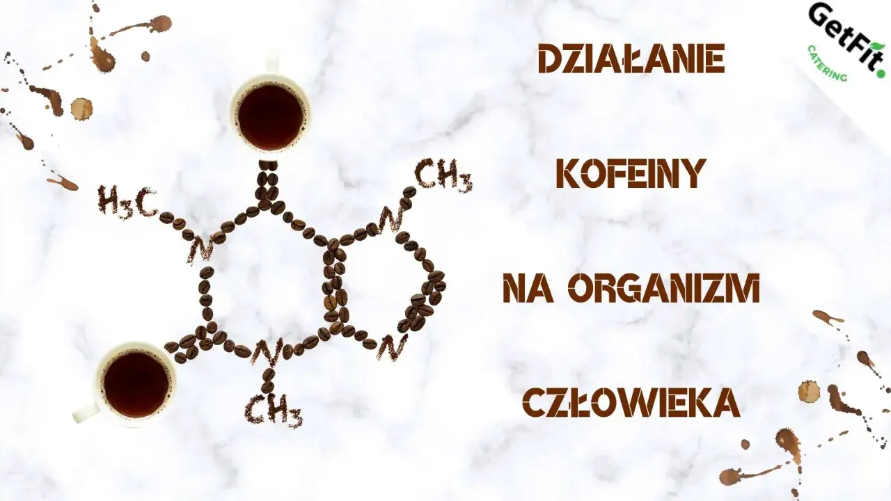 Działanie kofeiny na organizm człowieka. Struktura chemiczna kofeiny ułożona z ziaren kawy, obok filiżanki kawy.