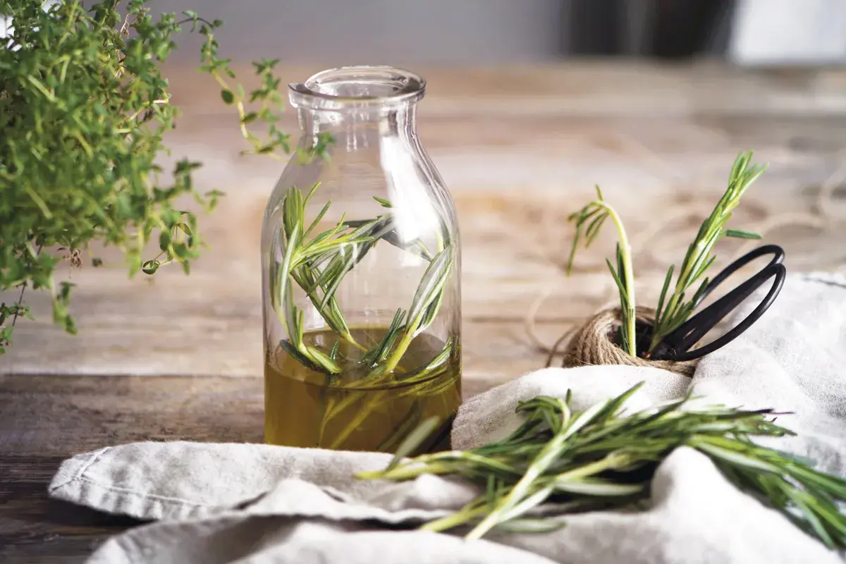 Aceite de romero infusionado en botella, ideal para el alopecia femenina tratamiento natural. Hierbas frescas y tijeras a un lado.