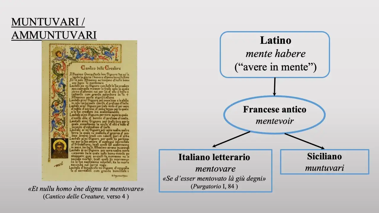 Il diagramma mostra l'evoluzione del termine "mentovare", con radici latine e francesi antiche, fino alle sue varianti italiane e siciliane, come i nomi siciliani "muntuvari".