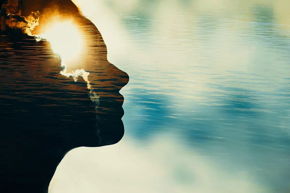 Silueta de perfil de una persona con un atardecer sobre el agua reflejado en su interior. Un momento para reflexionar, no discutir.