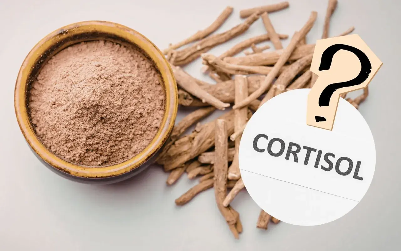 Ashwagandha-Wurzeln und Pulver neben einem Fragezeichen und dem Wort "Cortisol". Hilft Ashwagandha bei der Cortisol-Regulation?