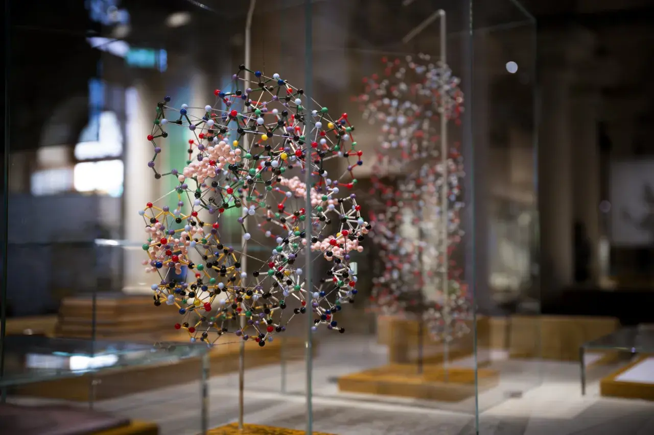Molekylmodeller i glasmonter, en fascinerande utställning som ger en inblick i vetenskapens värld. Perfekt för nobel prize museum reviews.