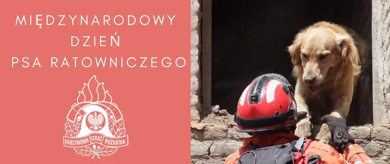 Międzynarodowy Dzień Psa Ratowniczego. Pies ratowniczy i strażak w akcji.