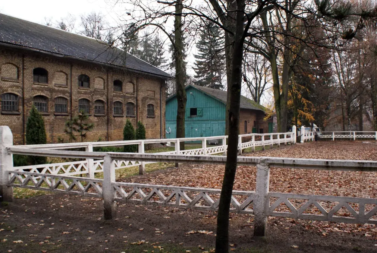 Stadnina koni Kętrzyn: historia, hodowla i atrakcje turystyczne