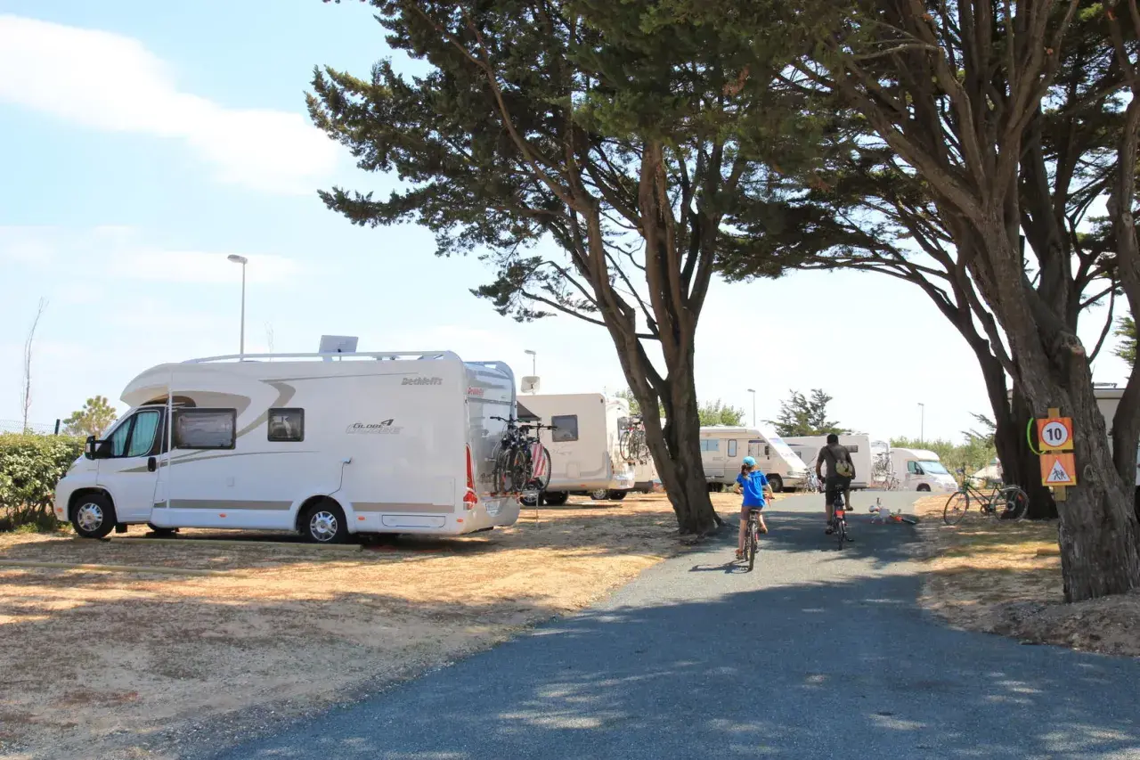 Journée ensoleillée sur une aire de camping-car en Île de Ré. Des camping-cars sont garés sous les pins, tandis que des enfants font du vélo sur le chemin.