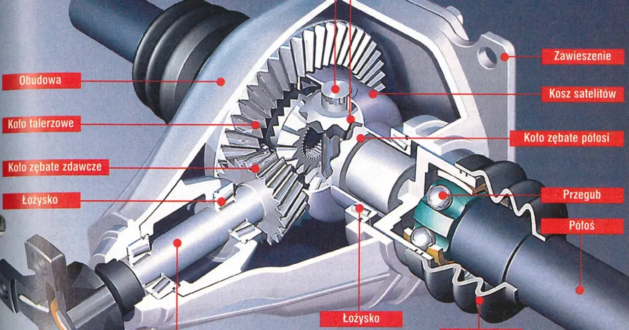 Przekrój mechanizmu różnicowego (dyferencjał) z widocznymi kołami zębatymi, łożyskami i półosią.