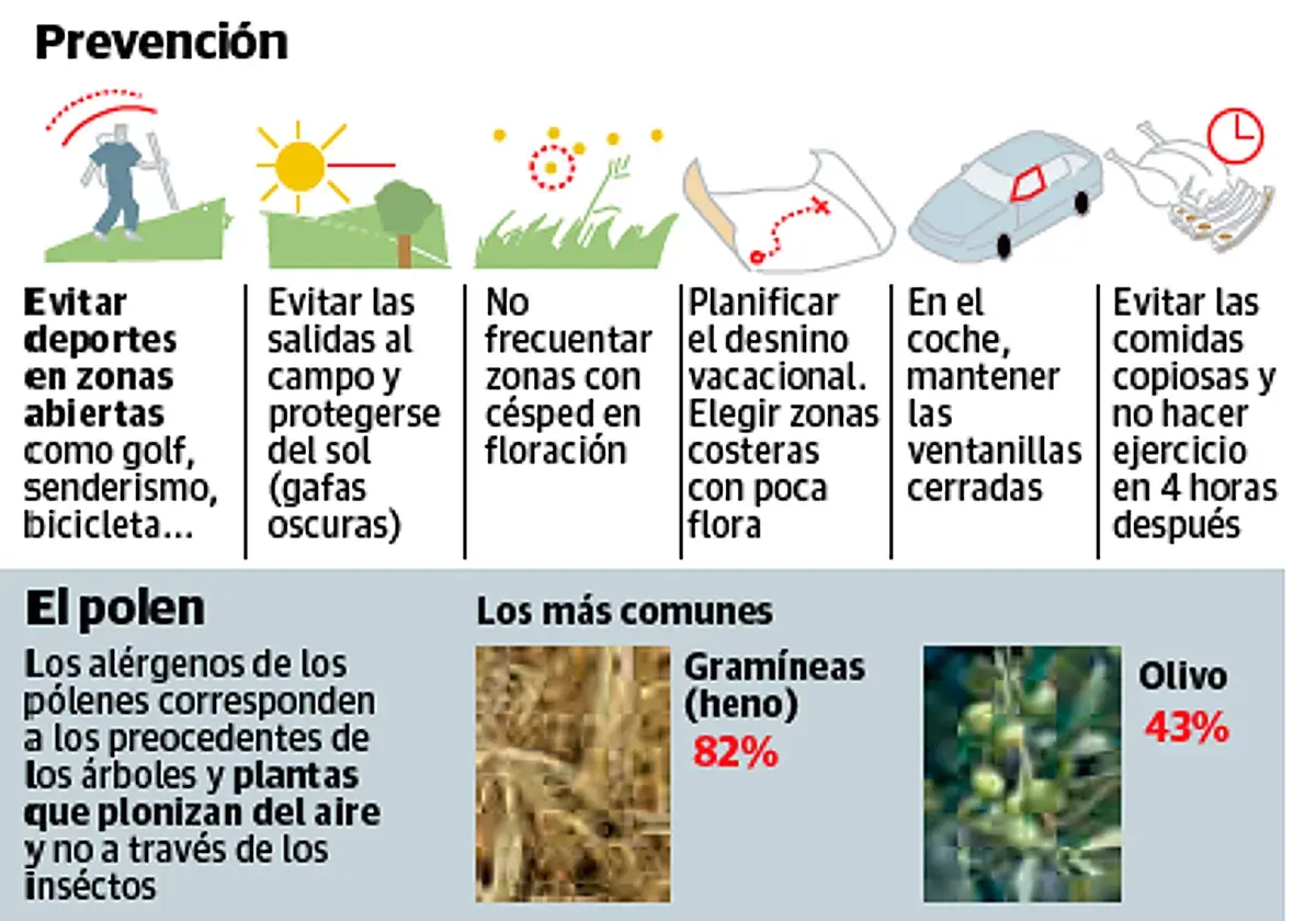 Prevención de alergias al polen de maleza: evita zonas verdes en floración, elige destinos costeros y mantén ventanas cerradas en el coche.