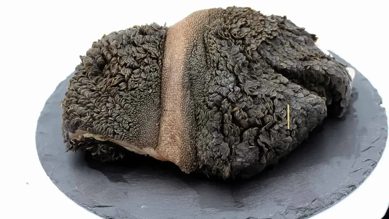 Ein roher Rinderpansen mit seiner charakteristischen, wabenartigen Struktur liegt auf einem dunklen Stein.