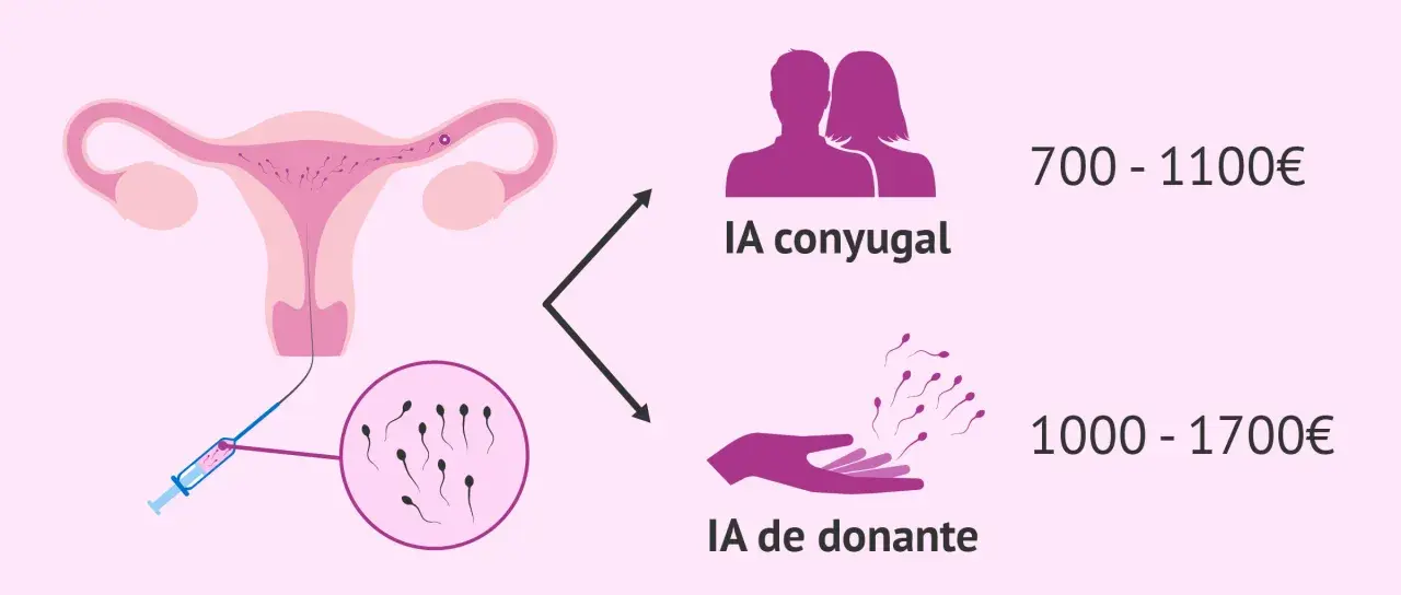 IA conyugal: 700-1100€. IA donante: 1000-1700€. Descubre cuanto cuesta una inseminación artificial en España.