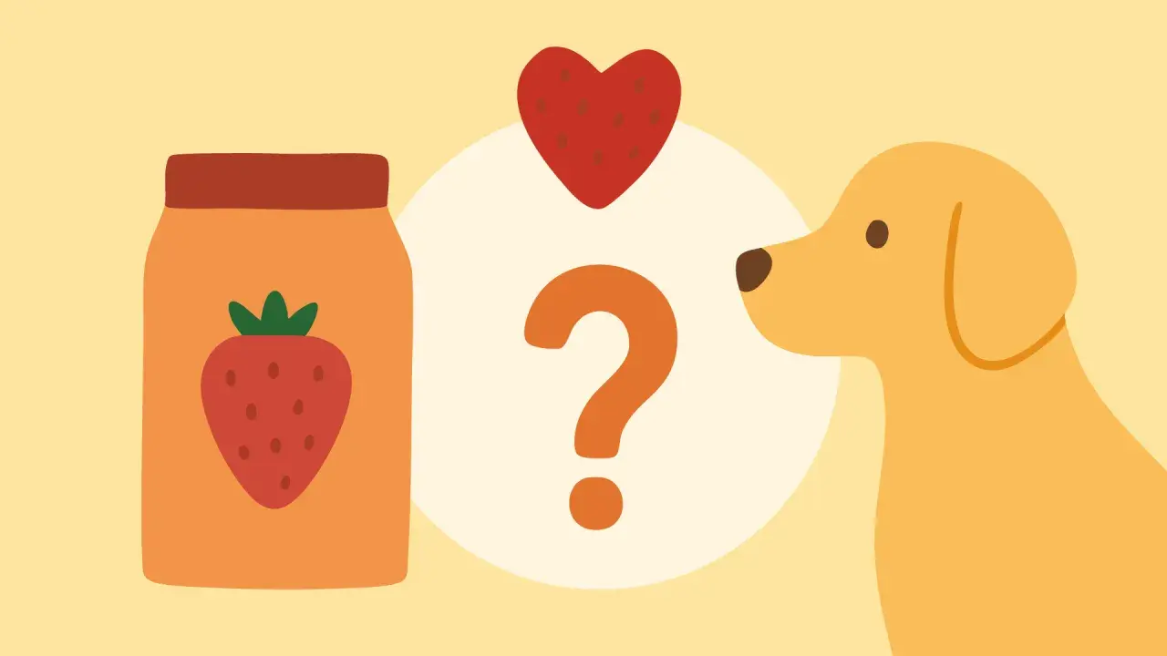 Ein Hund schaut neugierig auf ein Glas Erdbeeren und ein Herz. Kann er sie fressen, ohne Durchfall zu bekommen?