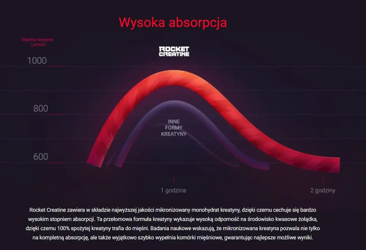Wykres pokazuje wysoką absorpcję kreatyny. Kiedy brać kreatynę? Rocket Creatine zapewnia 100% wchłaniania.