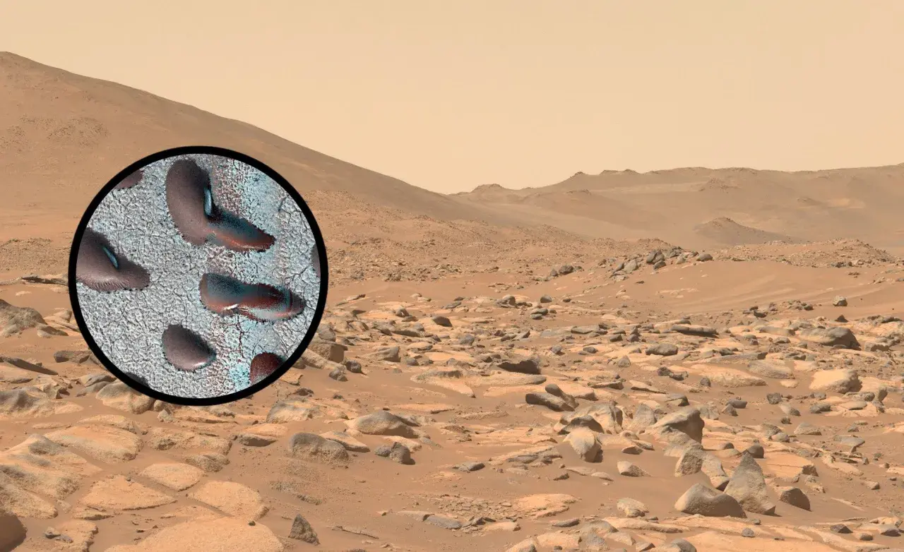 Zbliżenie na powierzchni Marsa ukazuje ślady, które mogą sugerować mars życie. Krajobraz Czerwonej Planety z kamieniami i piaskiem.