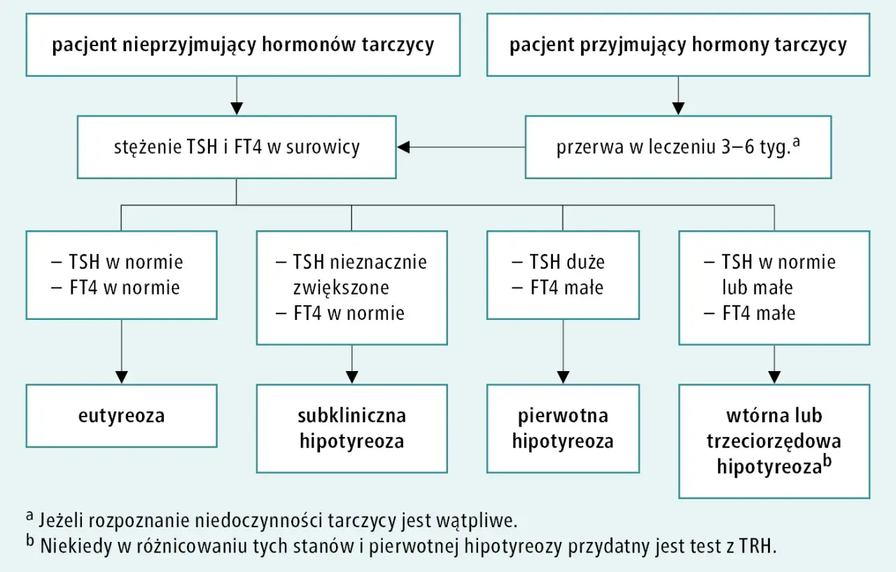 Schemat diagnostyki niedoczynności tarczycy, która może prowadzić do kretynizmu. Analiza TSH i FT4 w surowicy.