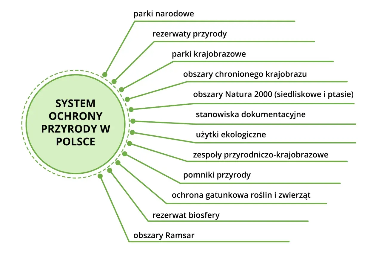 Schemat systemu ochrony przyrody w Polsce z wypisanymi 9 kluczowymi typami.