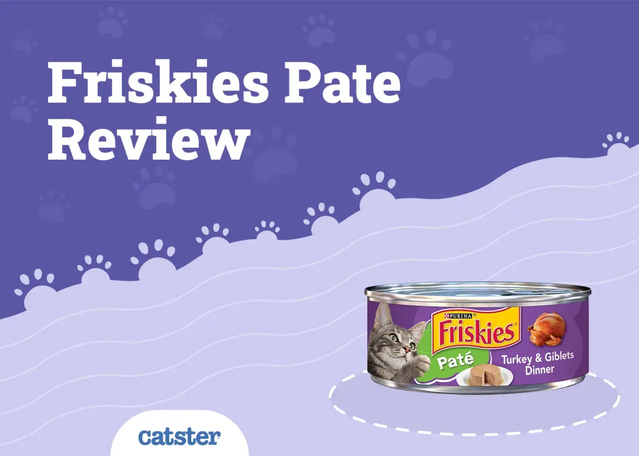 Friskies Pate Review: Is Friskies a good cat food? This image shows a can of Friskies Turkey & Giblets Dinner pate with a cat looking at it.